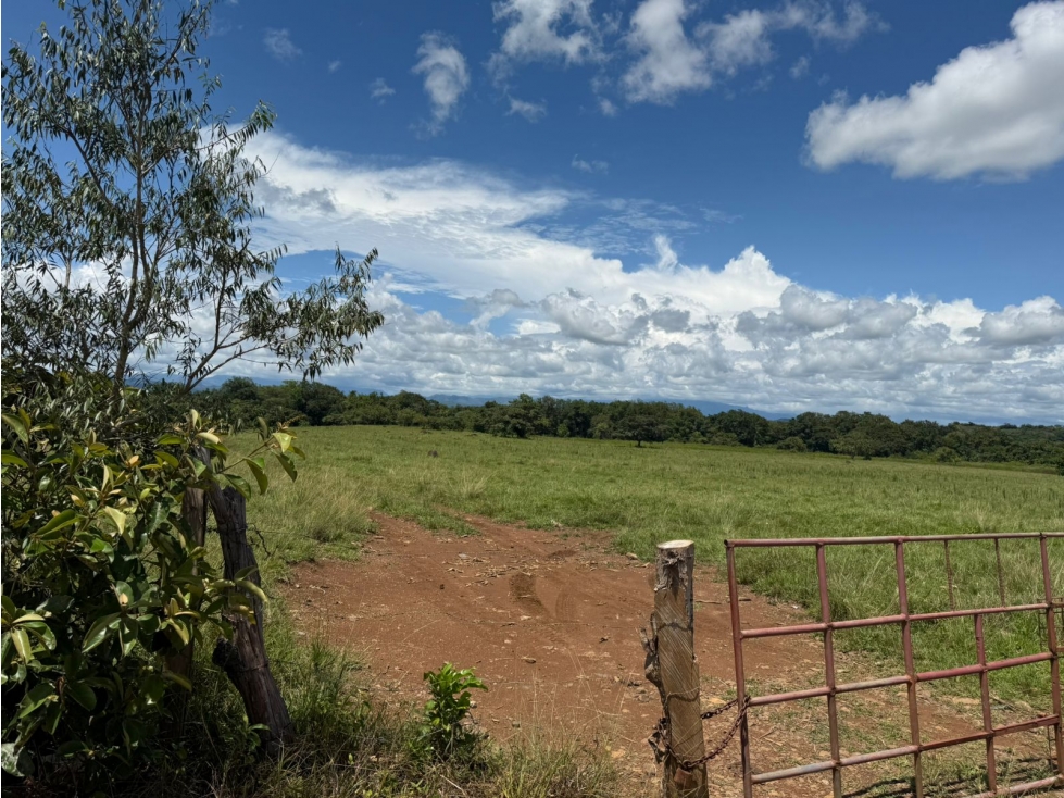 Finca en venta de 58.6 Has en Veraguas Santiago (DR) - 6