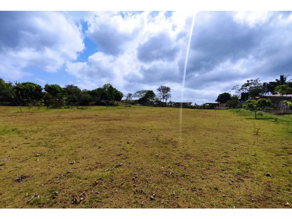 Se Vende Finca Comercial de 16560mt2 Espino La Chorrera - 2