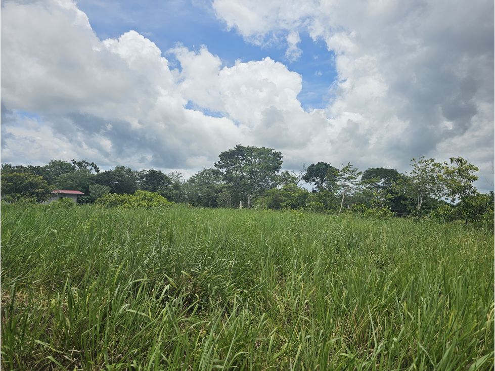 Se Venden Lotes desde 1000mt2 Panamá Oeste - 2