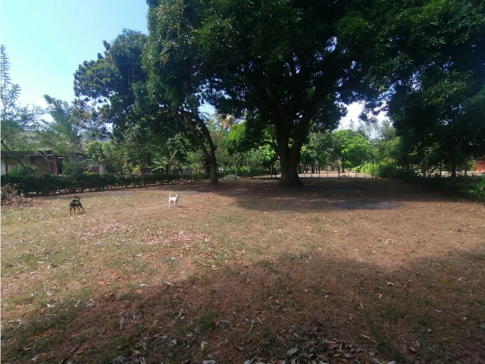 Se Vende Finca de 1 Has - en la Interamericana (H) - 5