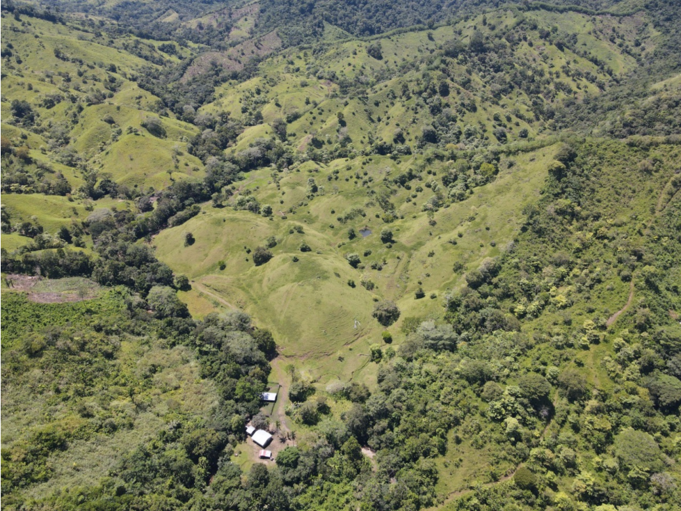 Se Vende Finca de 253 Ha. en Chepo (H) - 3
