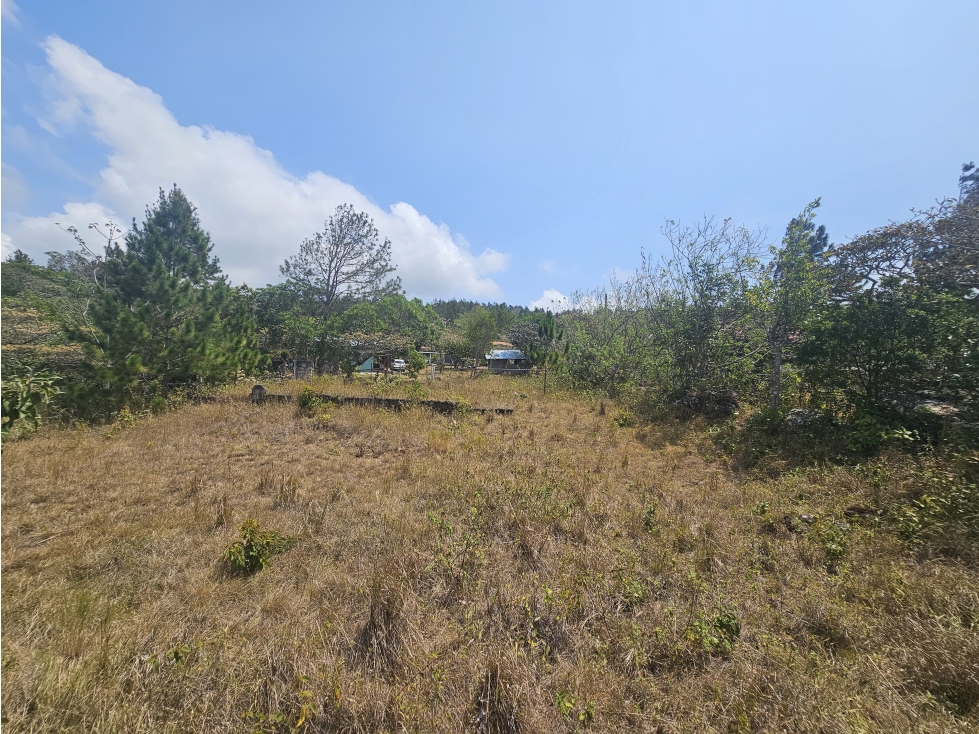 Se vende terreno en Chica — foto 2