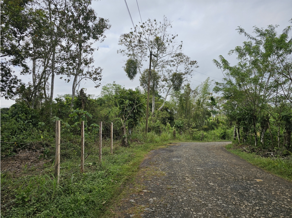 Se Vende Finca en Capira 5.5 Hectáreas - 3