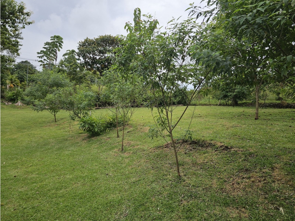 Se vende finca comercial de 3.8 hectáreas en Arraiján, Nuevo Chorrillo — foto 4