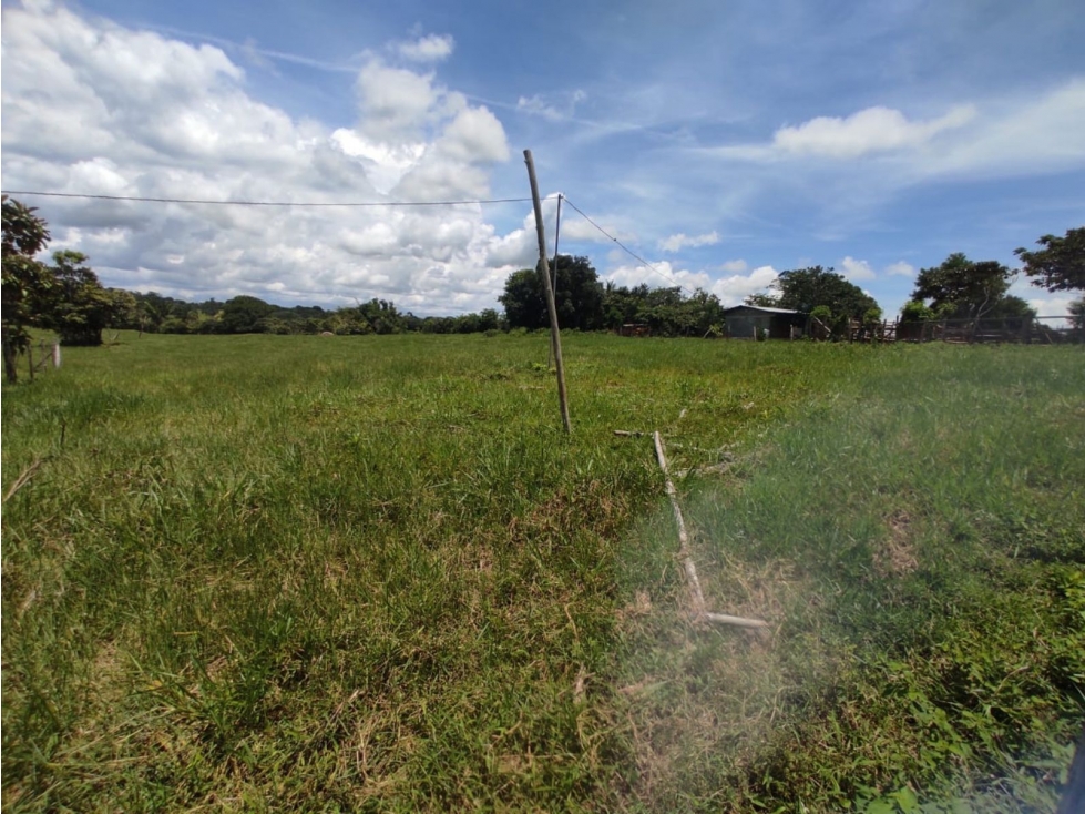 Se vende finca de 6.5 hectáreas en La Colorada, Chorrera - 2