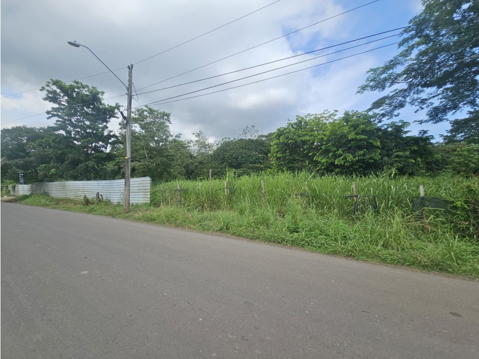Se vende finca de 4 has. comercial o residencial en Puerto Caimito - 2