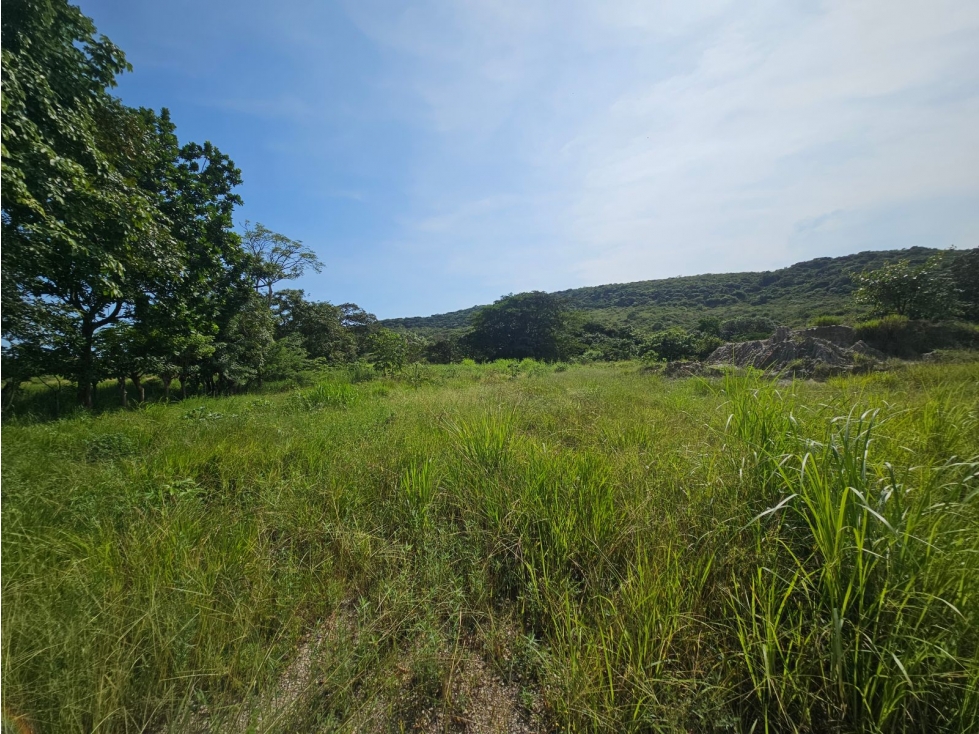 Se vende finca comercial de 5 HAS en Penonomé, Vía Ciruelito - 2