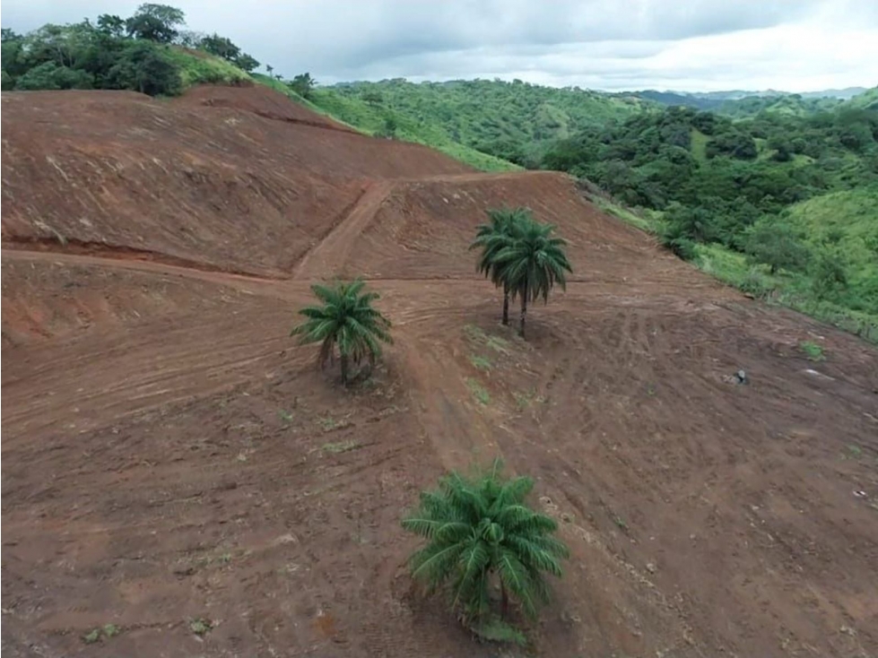 Se vende finca de 5 has con proyecto completo en Pedasí - 2
