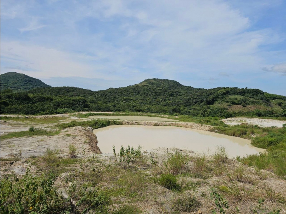 Se vende finca de 10 hectáreas en Penonomé, Vía Cañaveral - 2