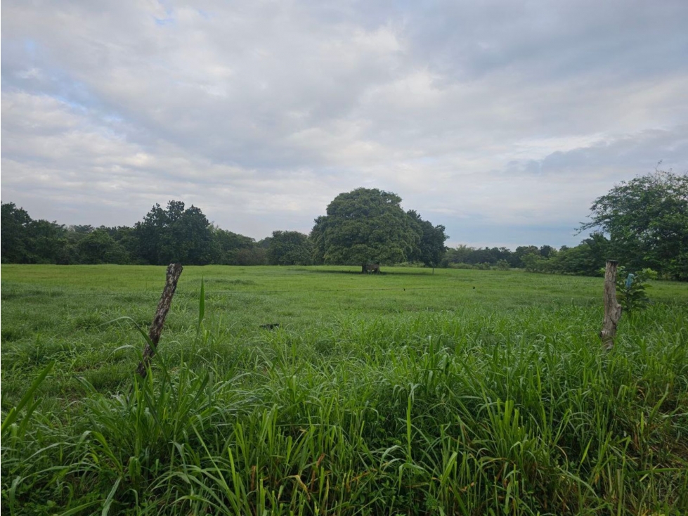Se vende finca de 2.8 hectáreas en Llano Marin, Penonomé - 2