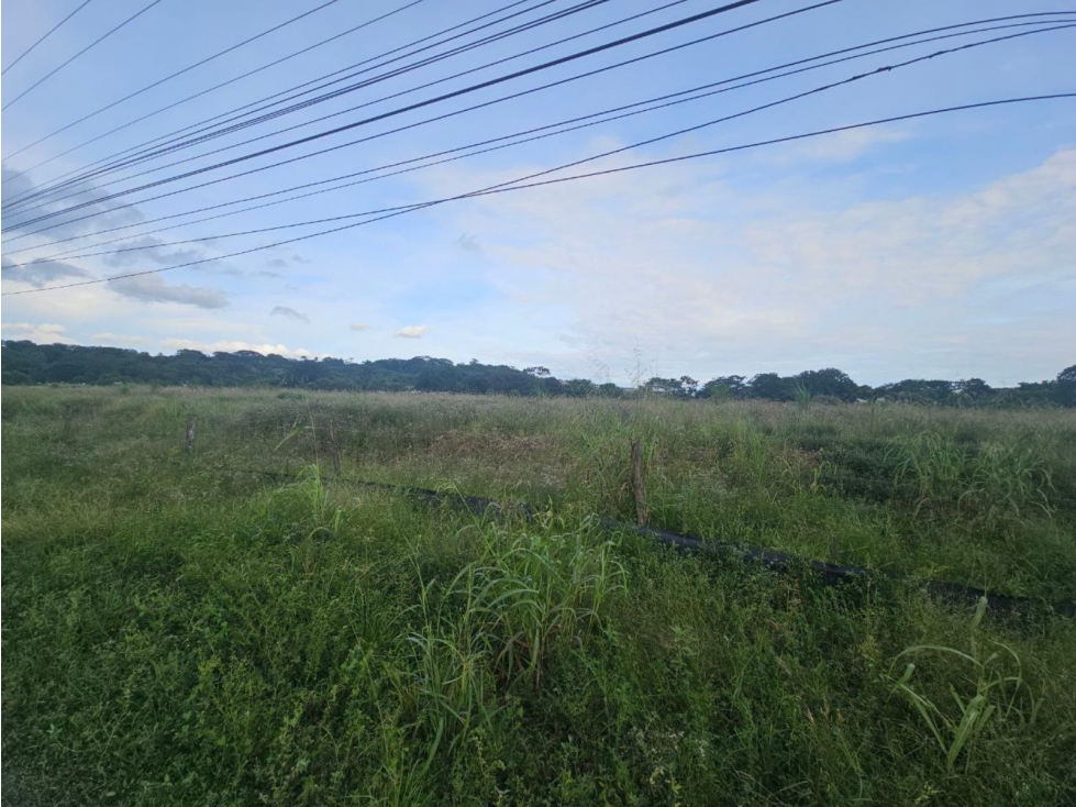 Se venden lotes comerciales en Interamericana, La Chorrera - 2