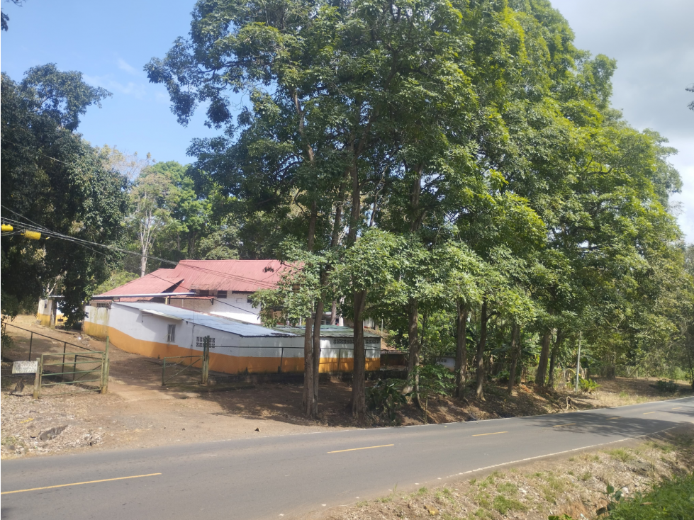 Se Vende Finca Comercial de 10 HAS El Espino- Vía Santa Rita (DR) - 2