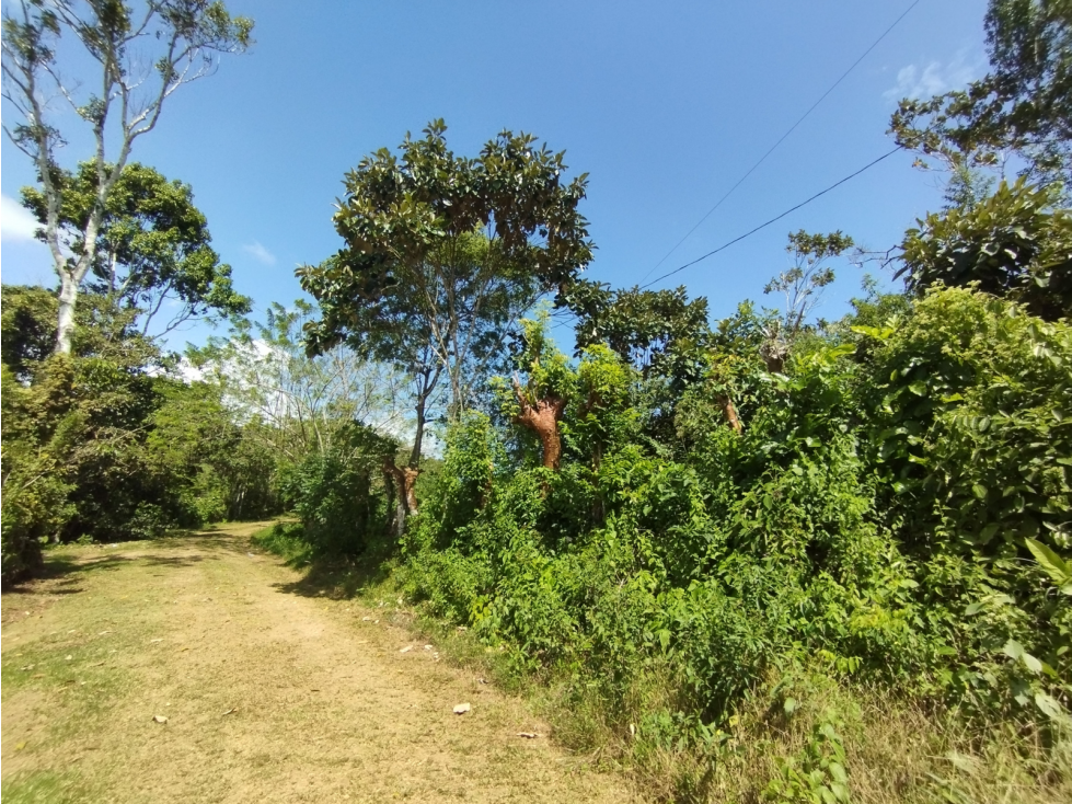 Se Vende Finca de 20.5 hectáreas en El Limite - Capira (DR) - 2