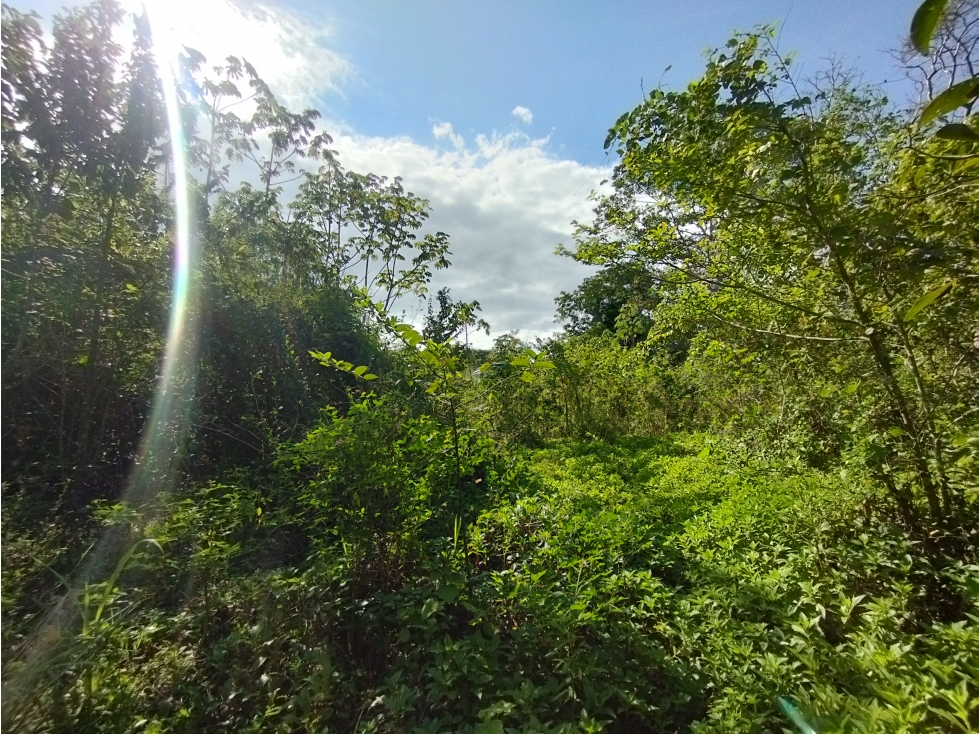 Se Vende Finca Comercial de 1.1 HAS-Chorrera (DR) - 4