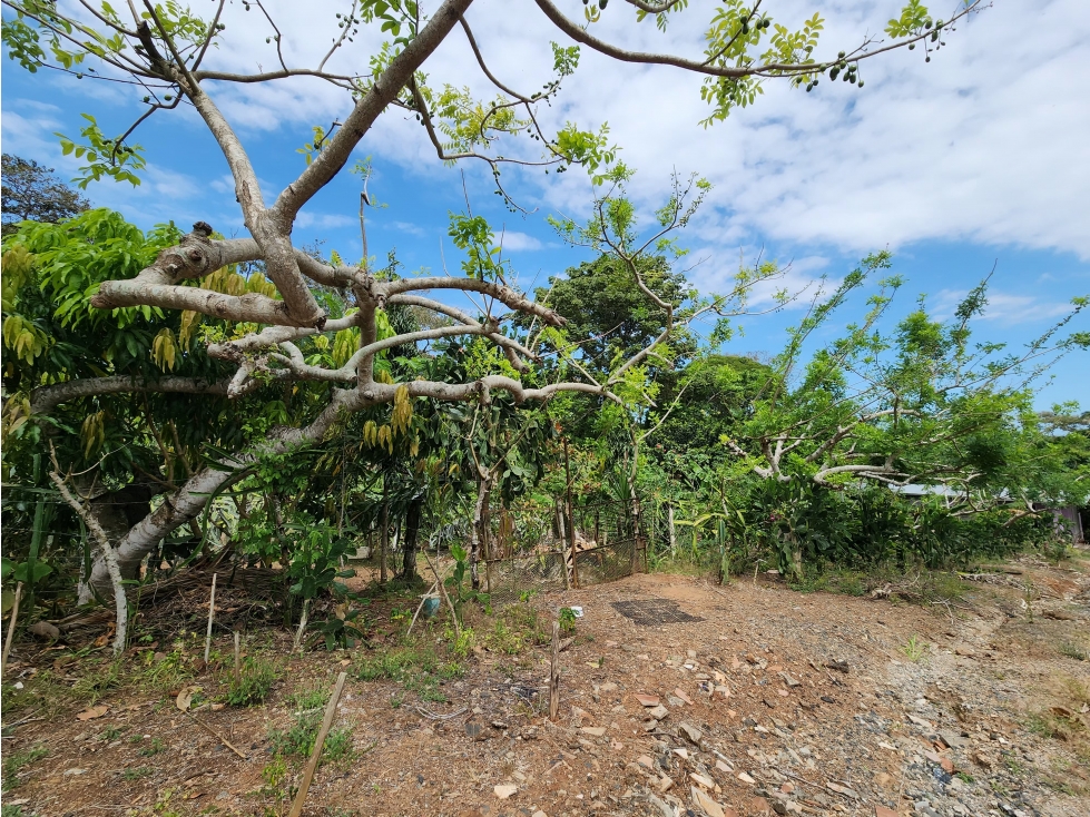 Se Vende Lote de 900m2 La Seda-Chorrera (DR) - 2