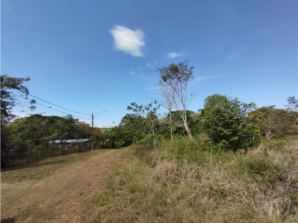 Se Vende Terreno de 4.700m2 en Potrero Grande-La Chorrera (DR) - 6