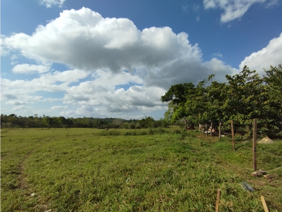 Se Vende Finca de 15 HAS el Lirio Arraijan (DR) — foto 2