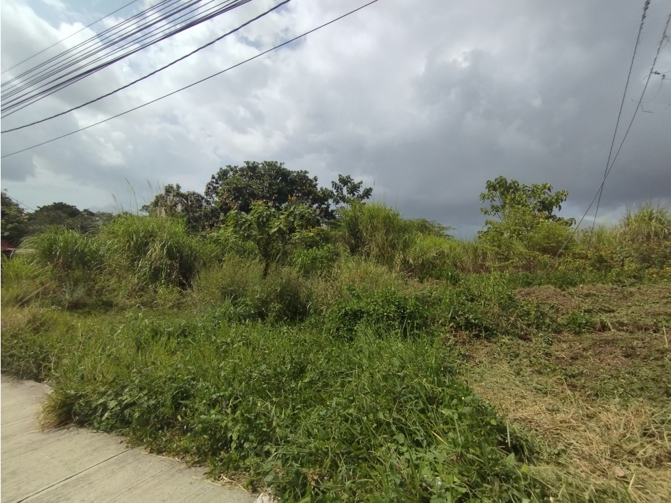 Se Vende Terreno de 1967 mts2 en Interamericana Arraijan — foto 2