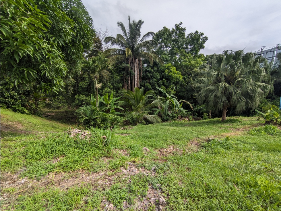 Terreno en venta de 3314 Mts2 en Vía Panamericana-La Chorrera (DR) - 4