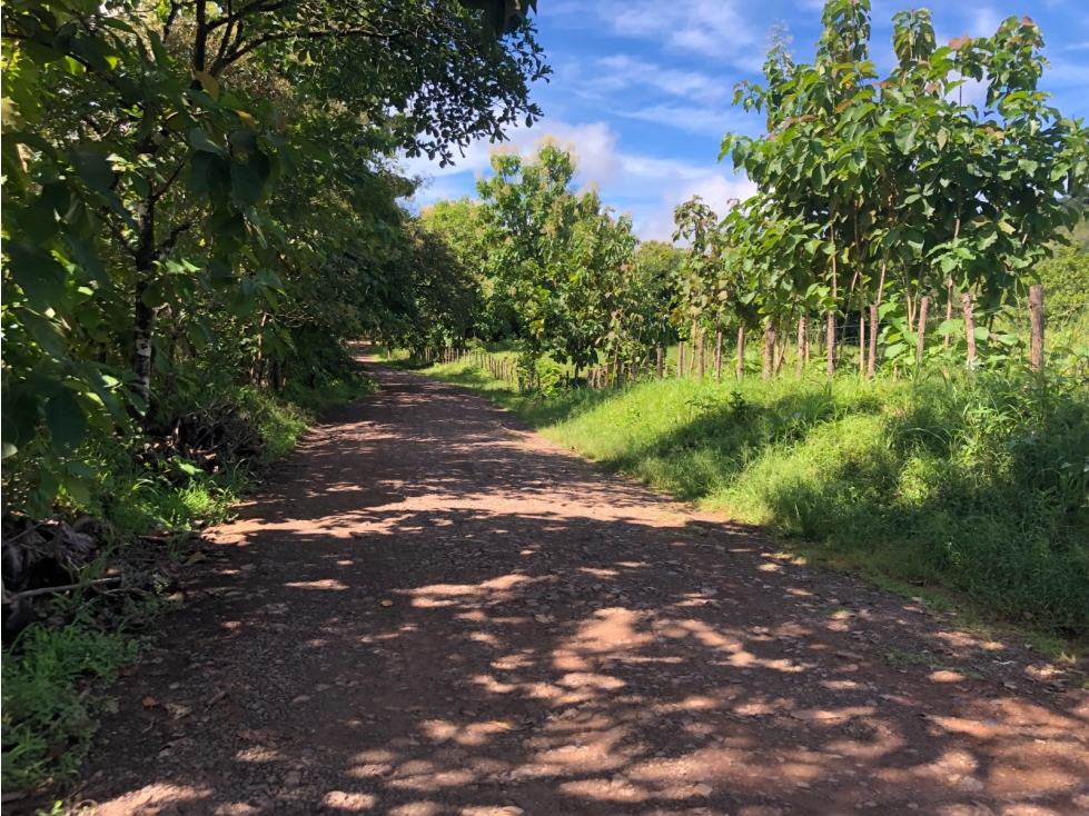 Terreno en venta de 12,907m2 en Montijo-Veraguas (DR) - 2