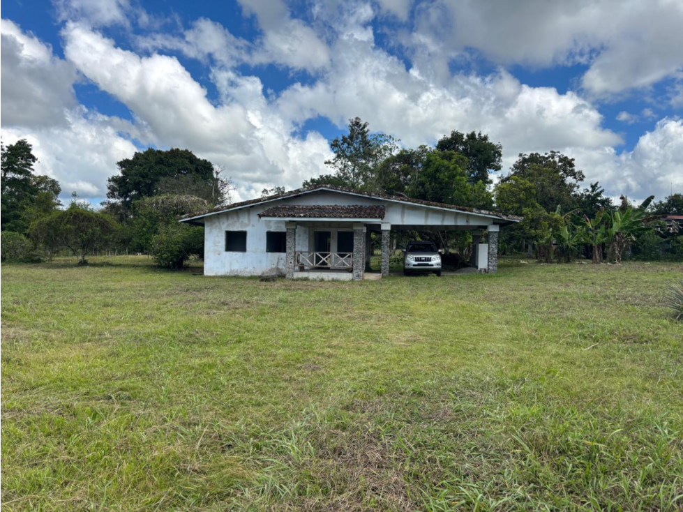 Venta de terreno comercial de 7,637m2 en Bugaba, Chiriquí (DR) - 2