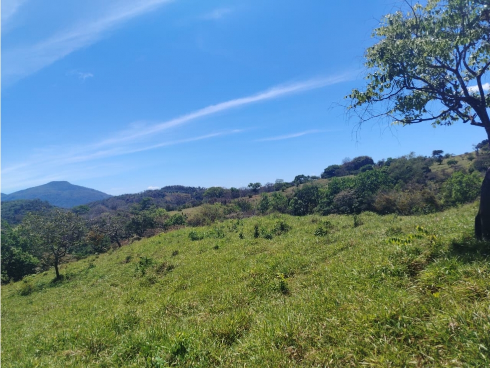Finca en Venta de 201 Has en Las Palmas - Veraguas (DR) - 4