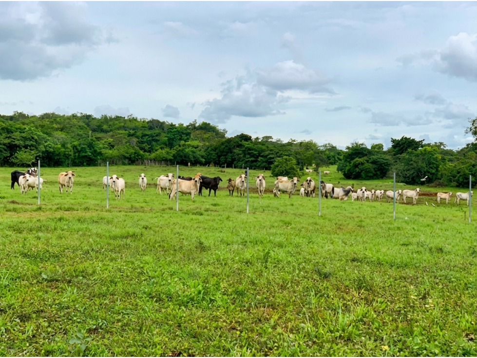 Finca en venta de 58.6 Has en Veraguas Santiago (DR) - 1