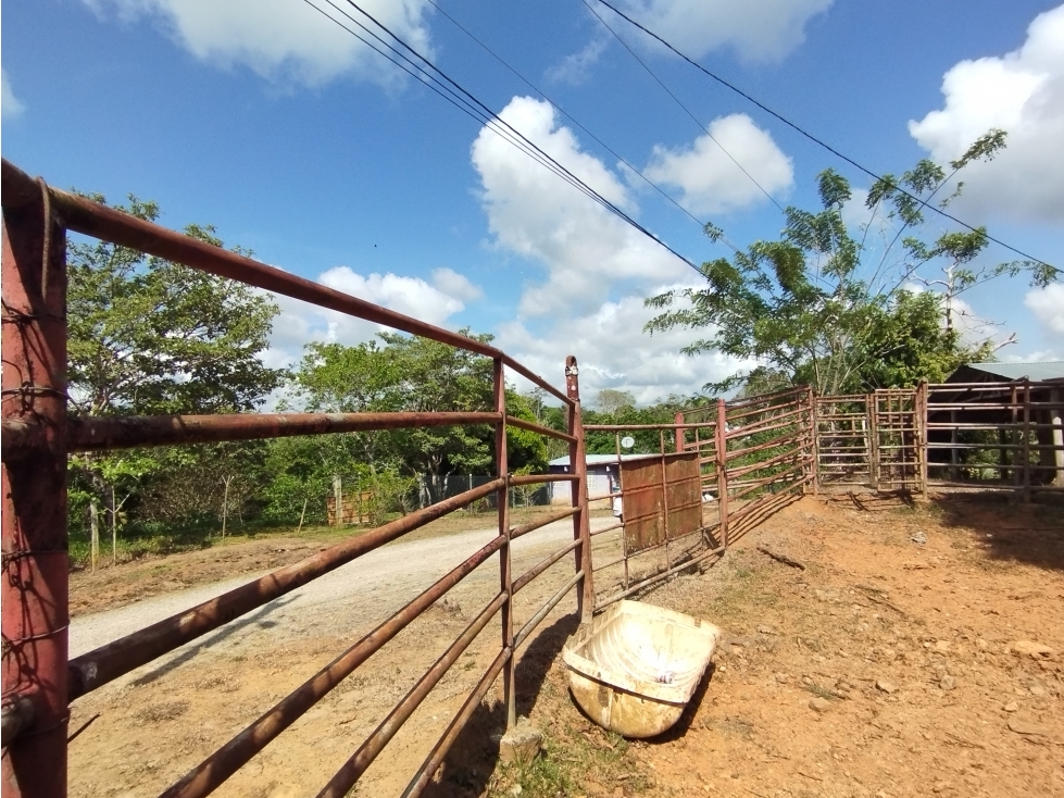 Se Vende Finca de 35 HAS en las Lajitas-Chorrera (DR) - 2