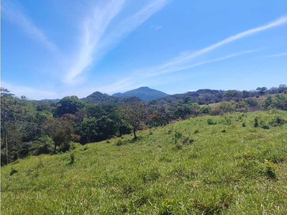 Finca en Venta de 201 Has en Las Palmas - Veraguas (DR) - 5