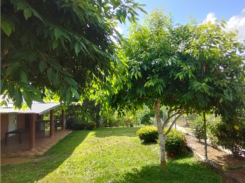 Se Vende Finca de 35 HAS en las Lajitas-Chorrera (DR) - 3
