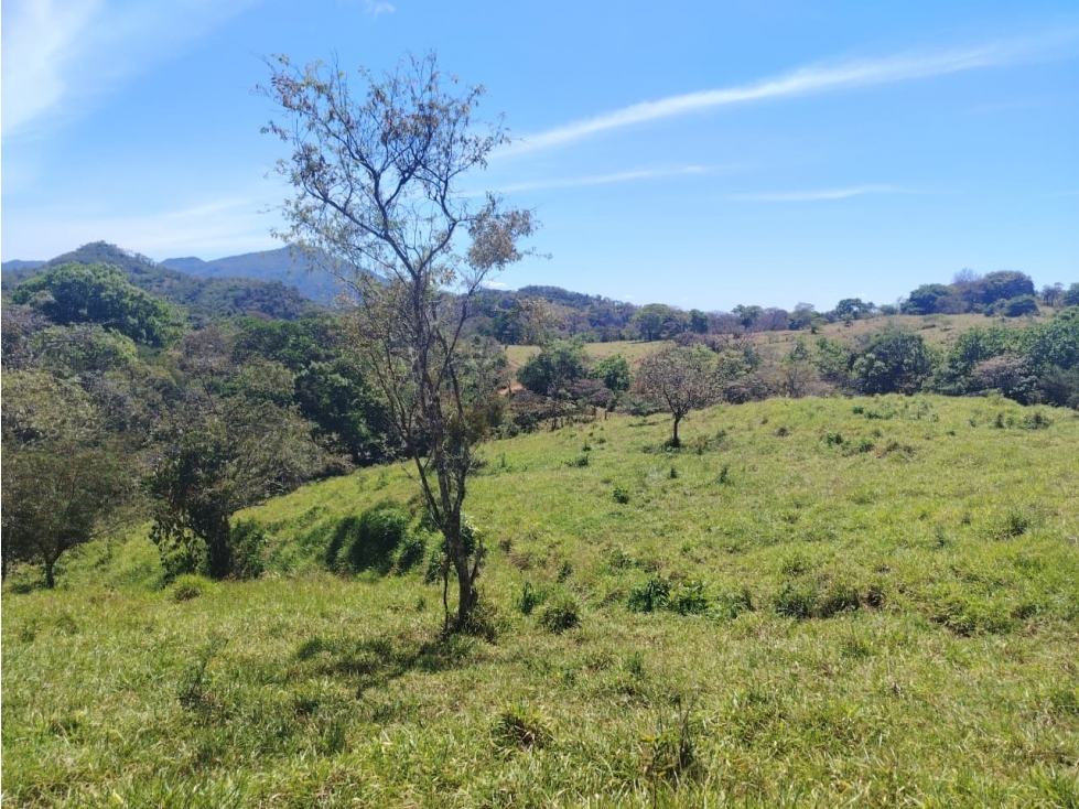 Finca en Venta de 201 Has en Las Palmas - Veraguas (DR) - 6