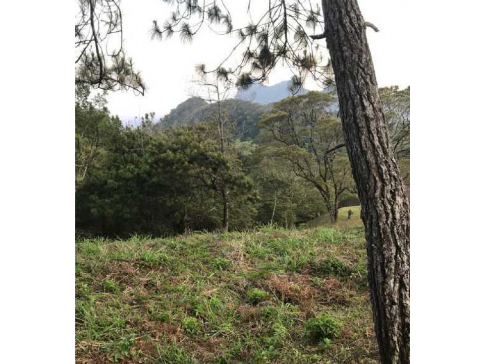 Se Vende Terreno Altos de María 1541.79 Mt2 Titulado - 4