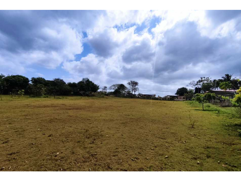 Se Vende Finca Comercial de 16560mt2 Espino La Chorrera - 3