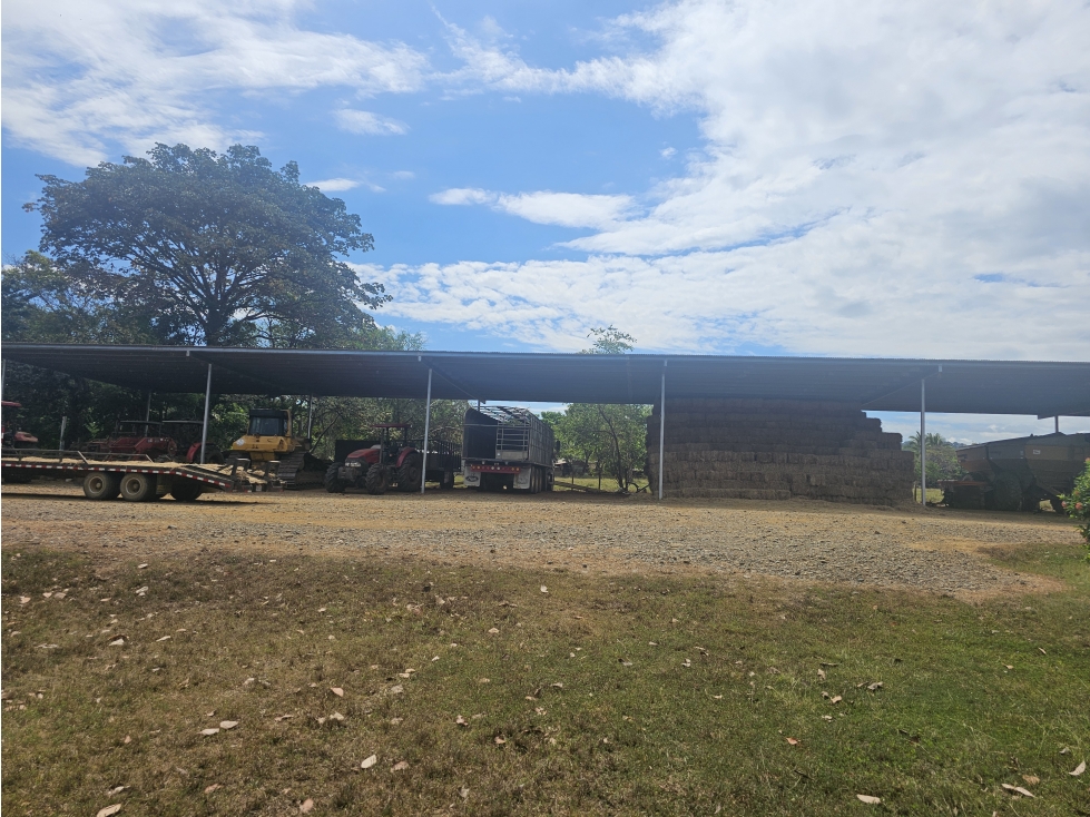 Se Vende Finca de 1796 Hectáreas en Santiago Veraguas - 4