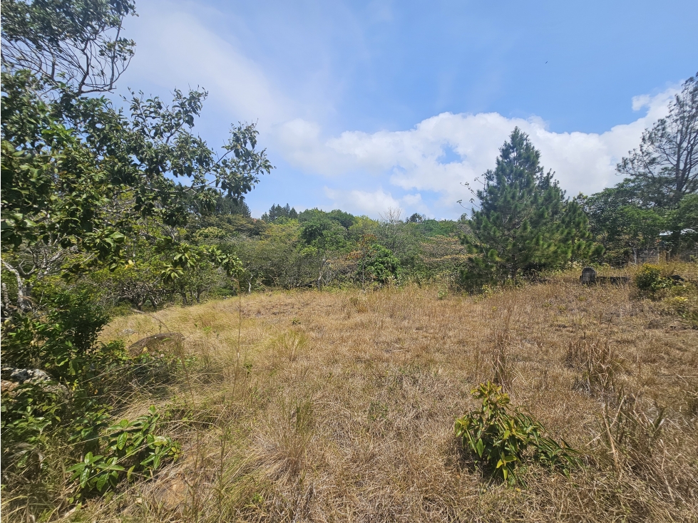 Se vende terreno en Chica — foto 3