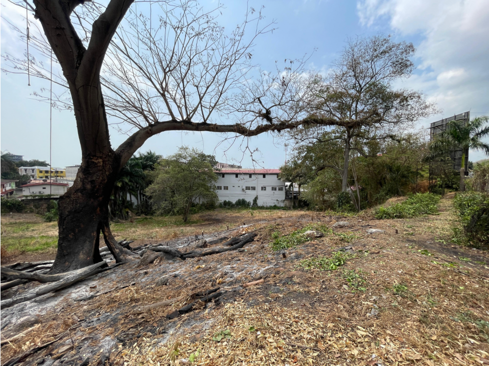 Se alquila terreno comercial en Ave de los Mártires - Santa Ana (DR)