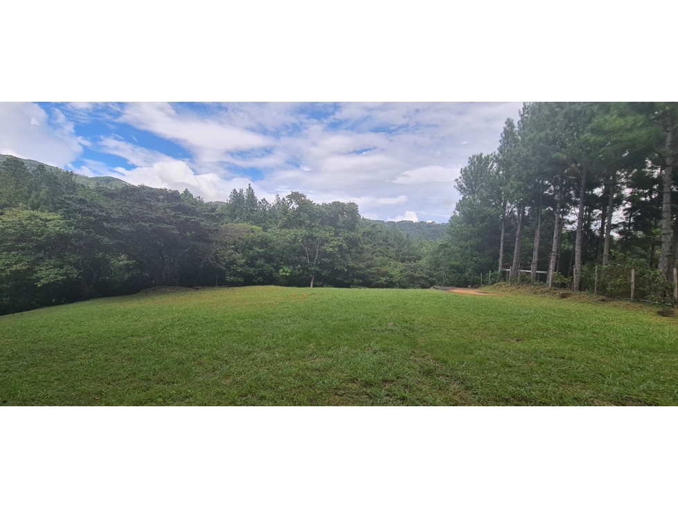 Se Vende Terreno de 1328 mt2 en Altos de María - 3