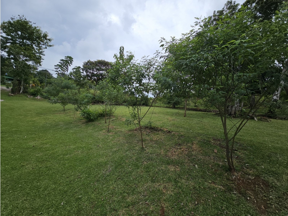 Se vende finca comercial de 3.8 hectáreas en Arraiján, Nuevo Chorrillo — foto 5