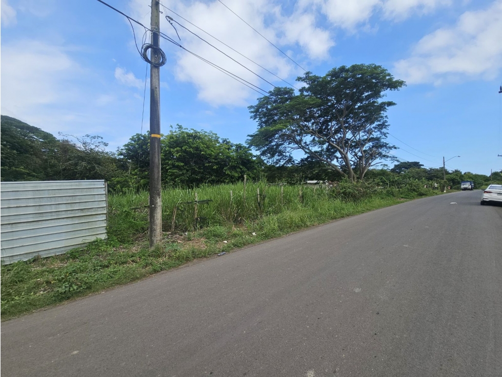 Se vende finca de 4 has. comercial o residencial en Puerto Caimito - 3