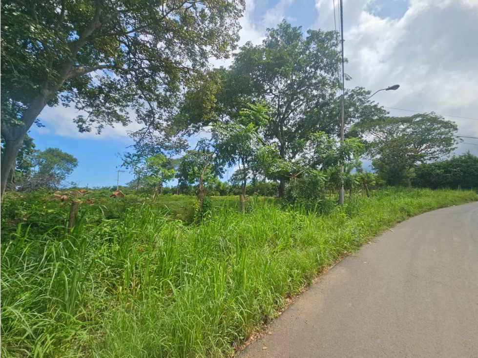 Se Vende Finca de 4.8 has comercial en La Chorrera, Puerto Caimito - 3