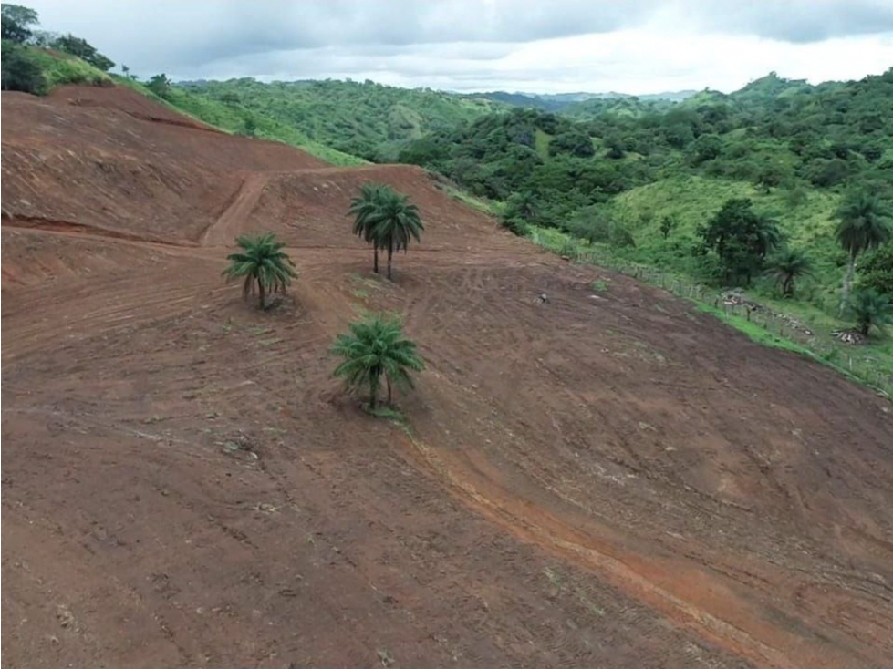 Se vende finca de 5 has con proyecto completo en Pedasí - 3