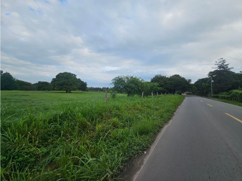 Se vende finca de 2.8 hectáreas en Llano Marin, Penonomé - 3