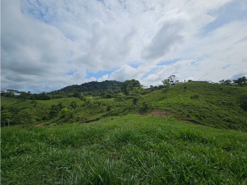 Se vende finca de 126 hectáreas en Metetí, Darién - 3