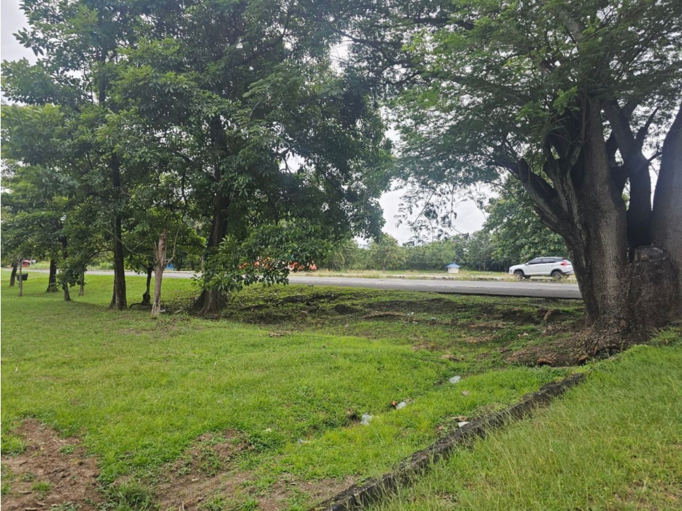 Se vende finca comercial en Penonomé de 1.4 has. - 3
