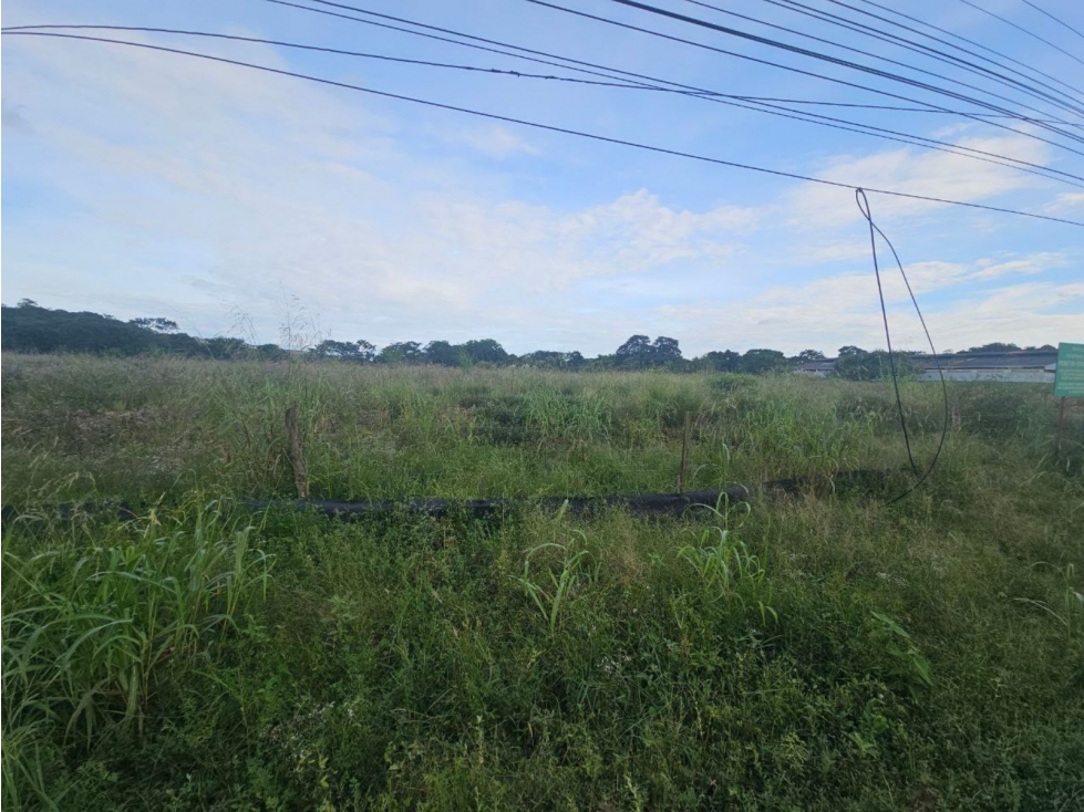 Se venden lotes comerciales en Interamericana, La Chorrera - 3