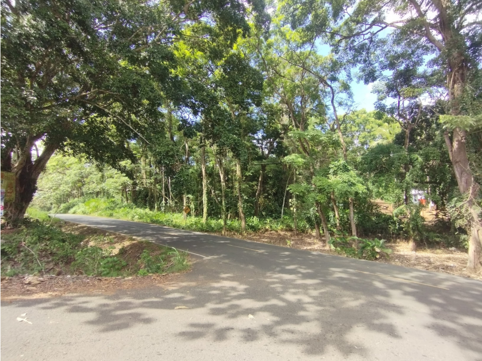 Se Vende Finca Comercial de 10 HAS El Espino- Vía Santa Rita (DR) - 3