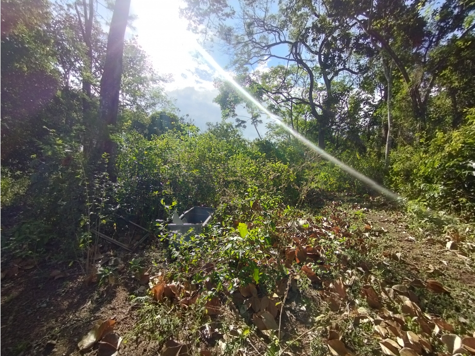 Se Vende Finca Comercial de 1.1 HAS-Chorrera (DR) - 5