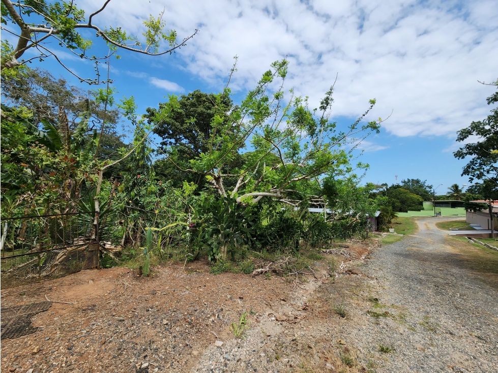 Se Vende Lote de 900m2 La Seda-Chorrera (DR) - 3