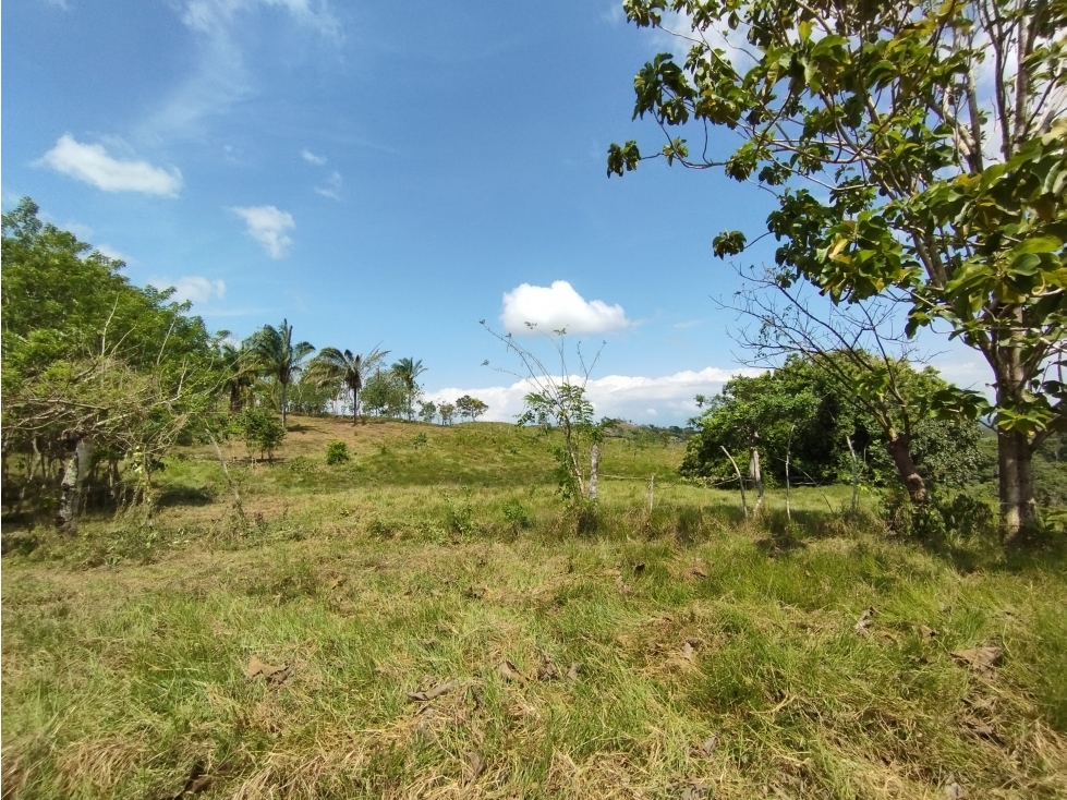 Se Vende Finca de 15 HAS el Lirio Arraijan (DR) — foto 3