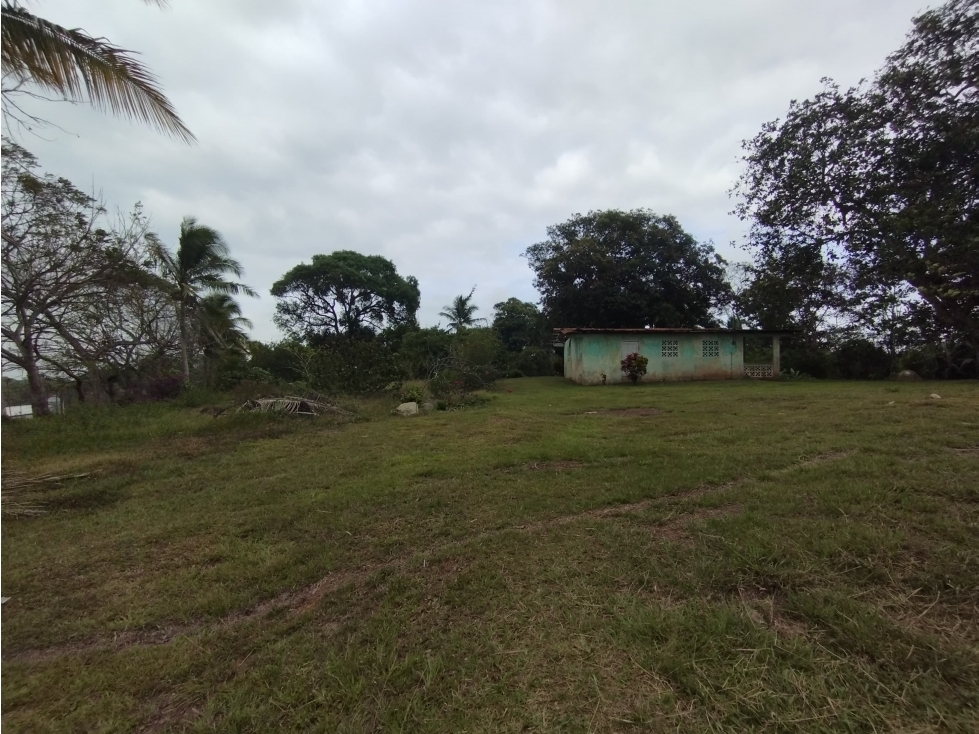 Se Vende Finca de 28.290m2 en Cerro Cama La Chorrera (DR) - 5